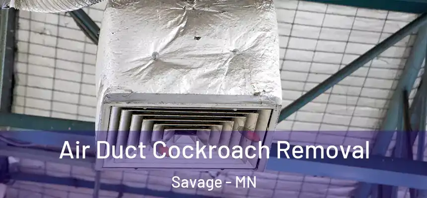 Air Duct Cockroach Removal Savage - MN