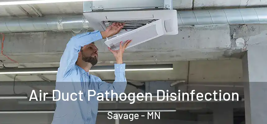 Air Duct Pathogen Disinfection Savage - MN