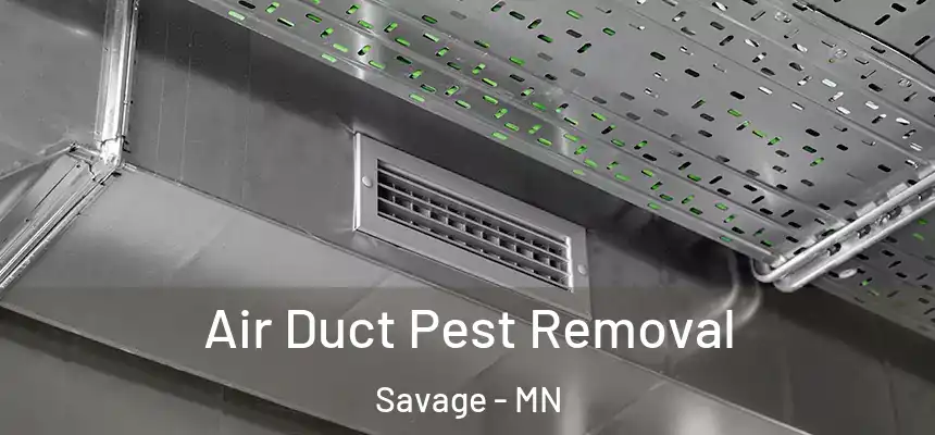 Air Duct Pest Removal Savage - MN