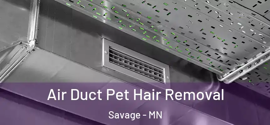  Air Duct Pet Hair Removal Savage - MN