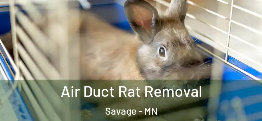  Air Duct Rat Removal Savage - MN