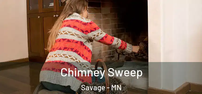  Chimney Sweep Savage - MN