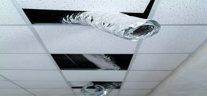 Affordable HVAC Sanitizing After Pest Removal in Savage