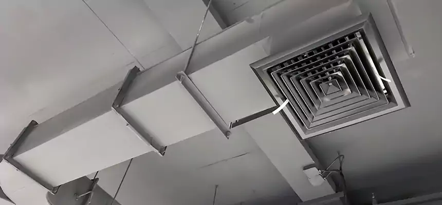 Restorative Allergy Relief Vent Cleaning – Coil, Blower & Housing Detail in Savage