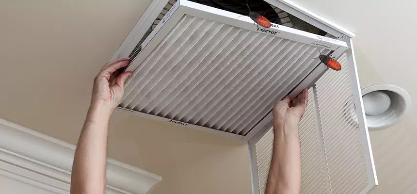 Our Insect Removal from Air Ducts Services in Savage, MN