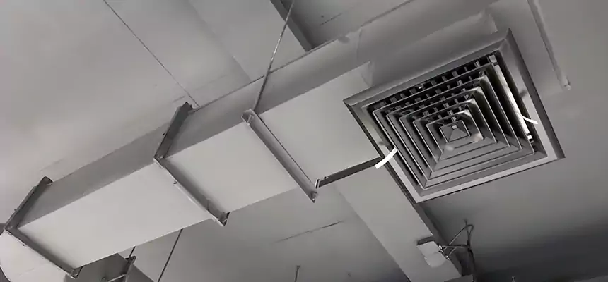 Our Pest Removal From Ducts Services in Savage, MN