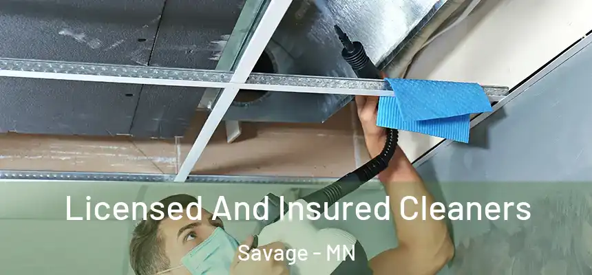  Licensed And Insured Cleaners Savage - MN