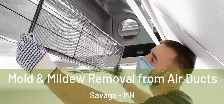 Mold & Mildew Removal from Air Ducts Savage - MN