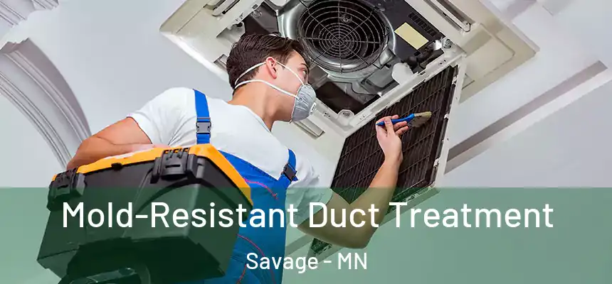  Mold-Resistant Duct Treatment Savage - MN