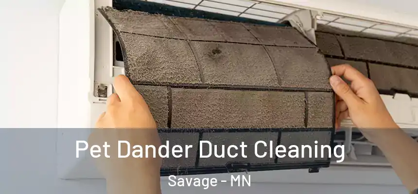  Pet Dander Duct Cleaning Savage - MN