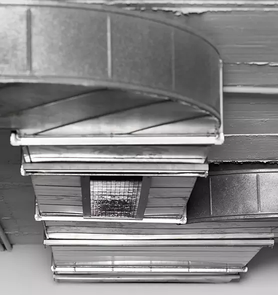 Professional Air Duct Pet Hair Removal in Savage, MN