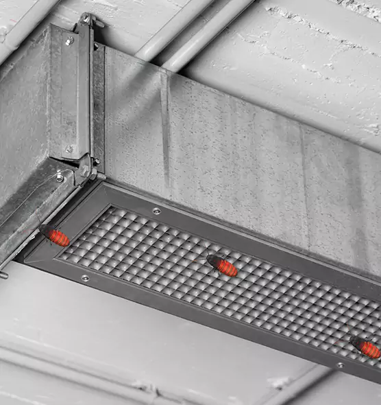 Affordable Insect Removal from Air Ducts in Savage, MN