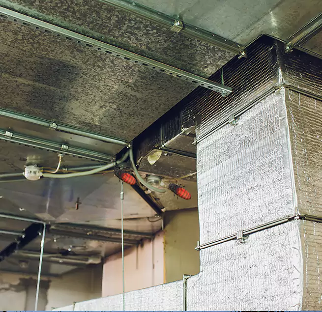 Why Homeowners & Businesses Trust Us Savage, MN?