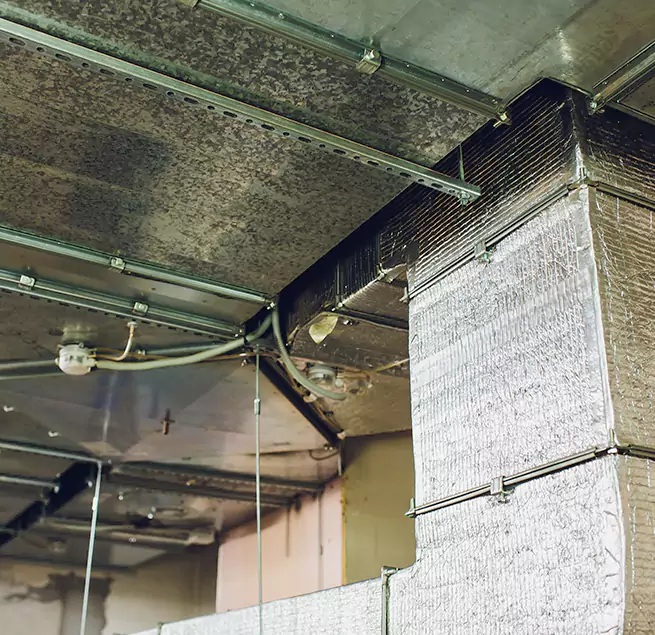 Why Homeowners & Businesses Trust Us in Savage, MN?